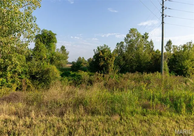 Photo 4 of Sale Pending at 0 Off Old Hwy 60, Dudley, MO 63936 | MLS# MIS26053639 | Listing updated on 2026-10-17