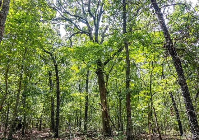 2nd image of 00 Fire Tower Rd, Steelville, MO 65565 | MLS# MIS26053640
