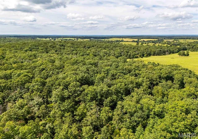 28th image of 00 Fire Tower Rd, Steelville, MO 65565 | MLS# MIS26053640
