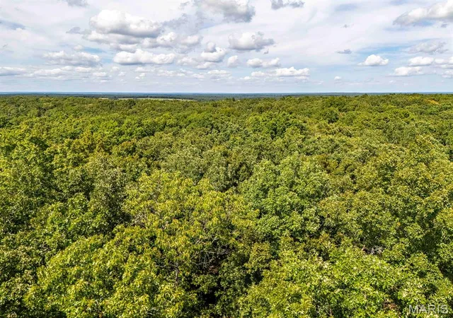 4th image of 00 Fire Tower Rd, Steelville, MO 65565 | MLS# MIS26053640