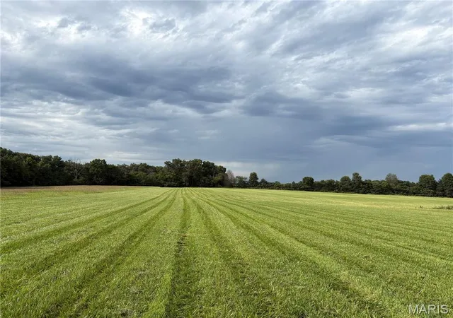 1st image of 12 Acres Hickory Lick Rd, Wright City, MO 63390 | MLS# MIS26053698