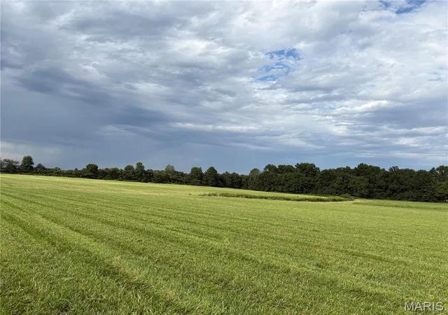 Photo 3 of Land for sale at 12 Acres Hickory Lick Rd, Wright City, MO 63390 | MLS# MIS26053698 | Listing updated on 2026-09-29