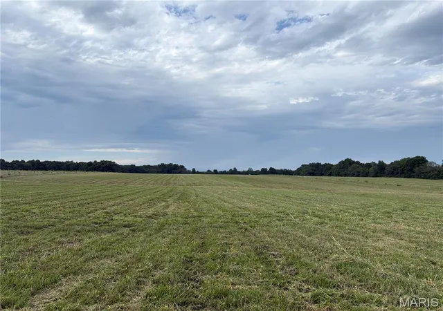 5th image of 12 Acres Hickory Lick Rd, Wright City, MO 63390 | MLS# MIS26053698