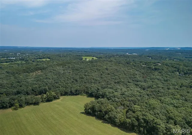 17th image of 3225 Carron Rd, Festus, MO 63028 | MLS# MIS26053851