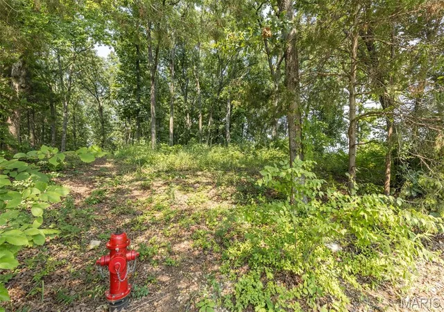 3rd image of 3225 Carron Rd, Festus, MO 63028 | MLS# MIS26053851