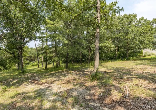 5th image of 3225 Carron Rd, Festus, MO 63028 | MLS# MIS26053851
