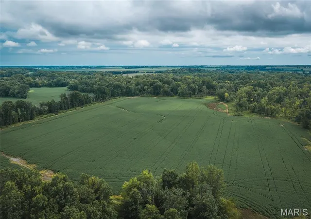 Photo 1 of Land for sale at 0 State Hwy W, Memphis, MO 63555 | MLS# MIS26053876 | Listing updated on 2026-08-20