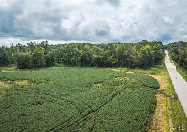 Photo 2 of Land for sale at 0 State Hwy W, Memphis, MO 63555 | MLS# MIS26053876 | Listing updated on 2026-08-20