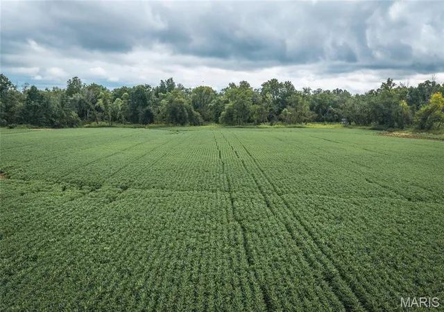Photo 3 of Land for sale at 0 State Hwy W, Memphis, MO 63555 | MLS# MIS26053876 | Listing updated on 2026-08-20