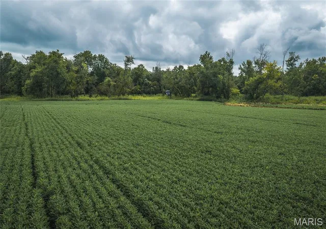 Photo 4 of Land for sale at 0 State Hwy W, Memphis, MO 63555 | MLS# MIS26053876 | Listing updated on 2026-08-20