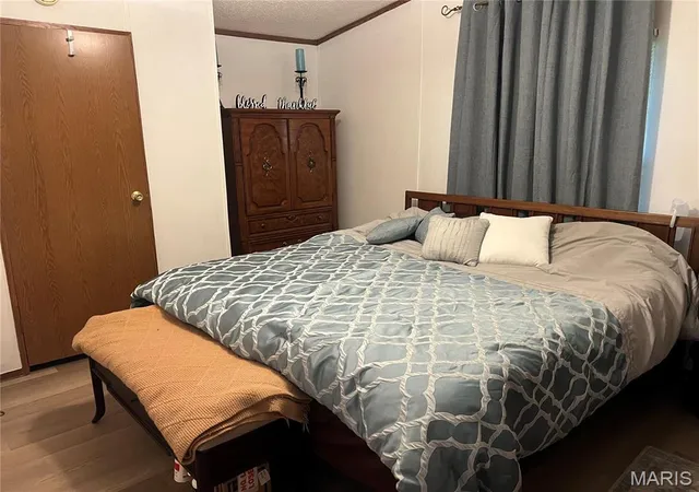 28th image of 236 Wayne 312 A, Patterson, MO 63956 | MLS# MIS26053878