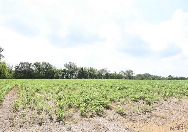 1st image of Off Pcr 914 Lot 16, Perryville, MO 63775 | MLS# MIS26053905