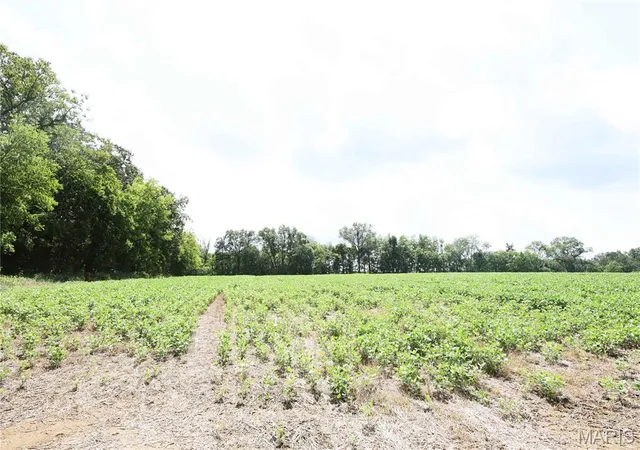 Photo 3 of Sale Pending at Off Pcr 914 Lot 16, Perryville, MO 63775 | MLS# MIS26053905 | Listing updated on 2026-08-20