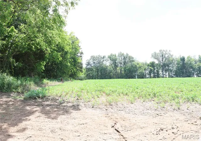 Photo 3 of Sale Pending at Off Pcr 914 Lot 16, Perryville, MO 63775 | MLS# MIS26053905 | Listing updated on 2026-08-20