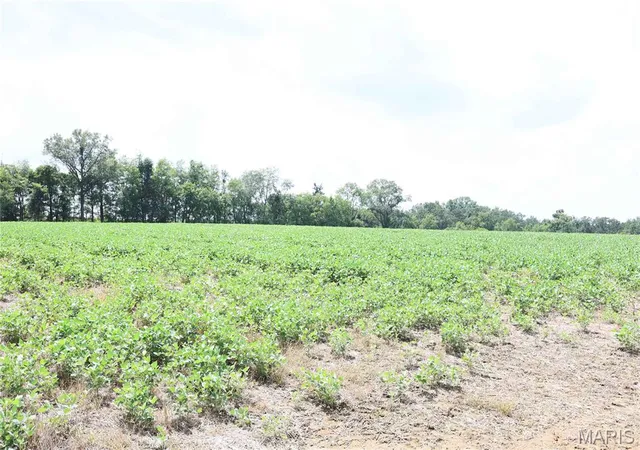 Photo 4 of Sale Pending at Off Pcr 914 Lot 16, Perryville, MO 63775 | MLS# MIS26053905 | Listing updated on 2026-08-20