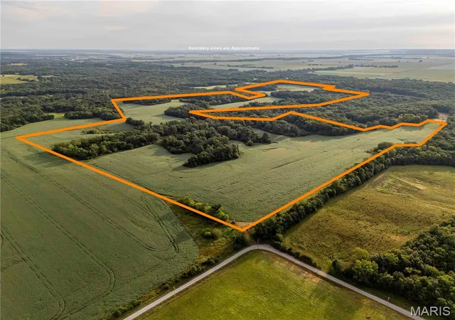 Photo 1 of Land for sale at 00 293 County Rd, Kahoka, MO 63445 | MLS# MIS26053957 | Listing updated on 2026-08-20
