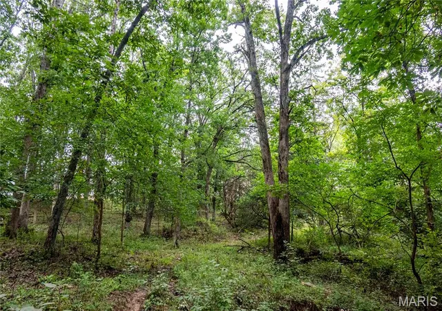 Photo 5 of House for sale at 00 293 County Rd, Kahoka, MO 63445 | MLS# MIS26053957 | Listing updated on 2026-08-20
