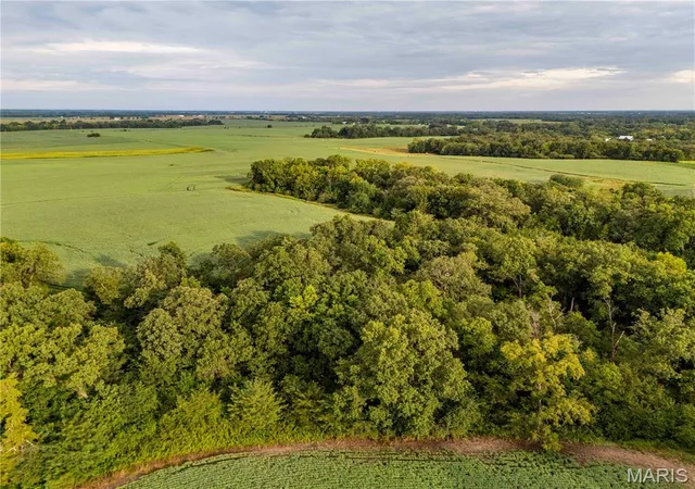 Photo 65 of Land for sale at 00 293 County Rd, Kahoka, MO 63445 | MLS# MIS26053957 | Listing updated on 2026-08-20