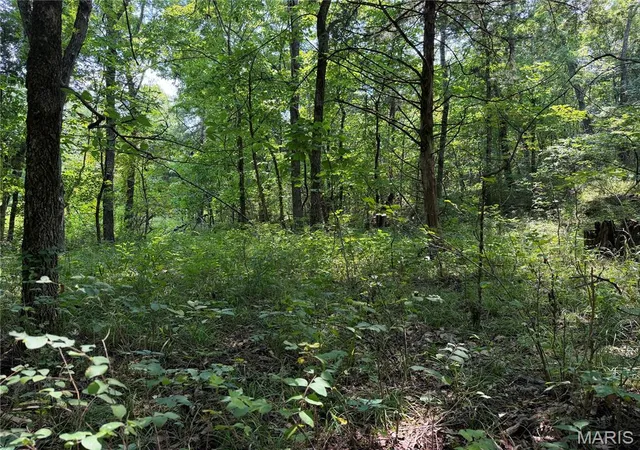 Photo 32 of Land for sale at 171 Hwy Jj, New Florence, MO 63363 | MLS# MIS26054034 | Listing updated on 2026-08-21