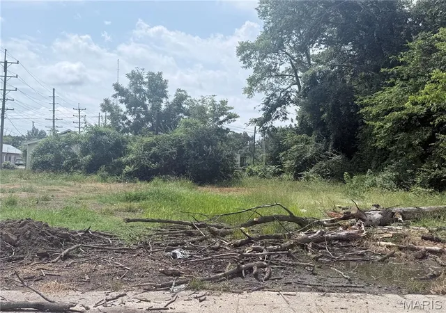 Photo 2 of Land for sale at 111 Midkiff, Harrisburg, IL 62946 | MLS# MIS26054067 | Listing updated on 2026-08-21