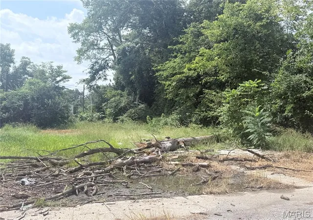 Photo 2 of Land for sale at 111 Midkiff, Harrisburg, IL 62946 | MLS# MIS26054067 | Listing updated on 2026-08-21