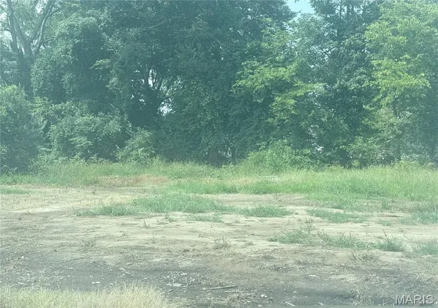 Photo 3 of Land for sale at 111 Midkiff, Harrisburg, IL 62946 | MLS# MIS26054067 | Listing updated on 2026-08-21