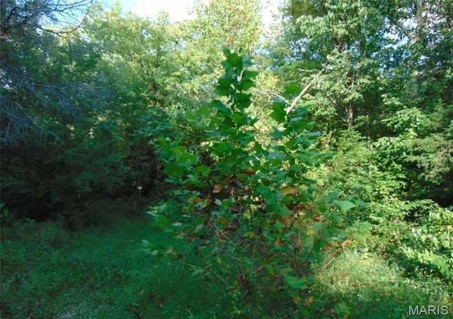 3rd image of 0 Robin, Doniphan, MO 63935 | MLS# MIS26054069