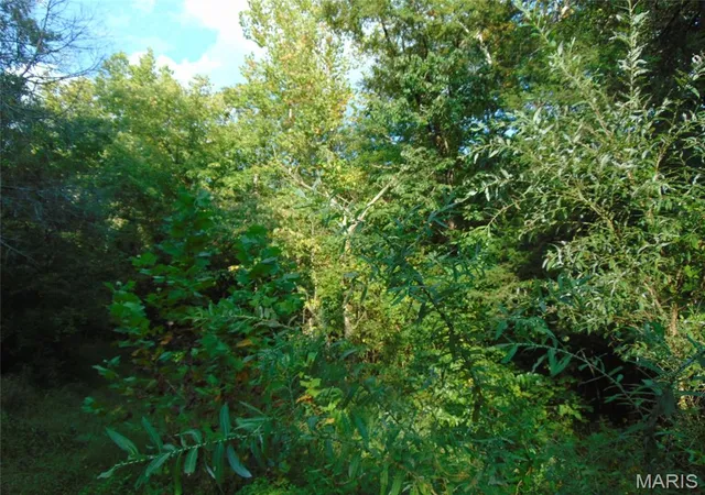 4th image of 0 Robin, Doniphan, MO 63935 | MLS# MIS26054069
