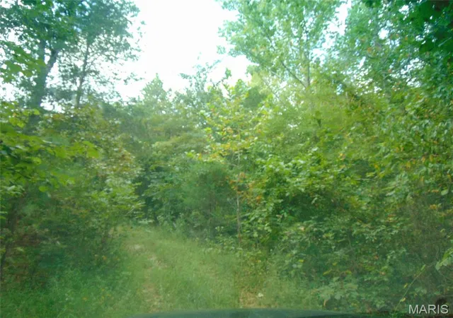 5th image of 0 Robin, Doniphan, MO 63935 | MLS# MIS26054069