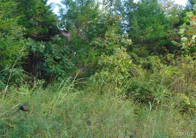 10th image of 0 Robin, Doniphan, MO 63935 | MLS# MIS26054069