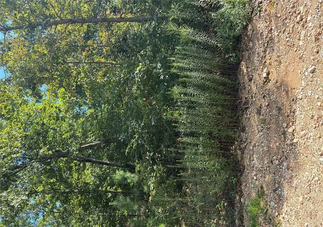 1st image of Tbd Liam Ln, Ellington, MO 63638 | MLS# MIS26054074