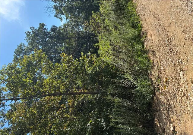 2nd image of Tbd Liam Ln, Ellington, MO 63638 | MLS# MIS26054074