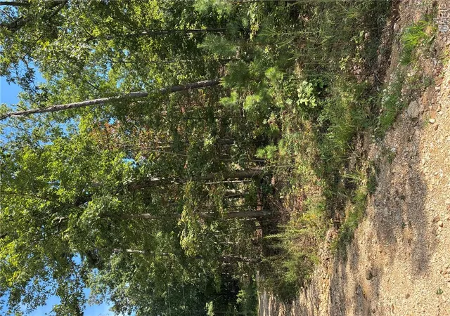 3rd image of Tbd Liam Ln, Ellington, MO 63638 | MLS# MIS26054074
