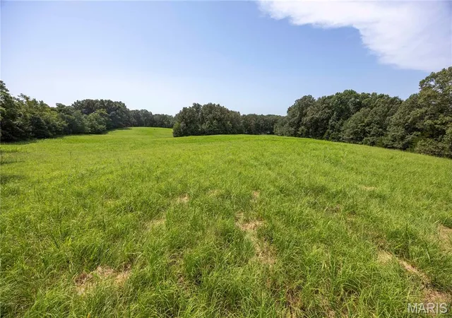 1st image of Tract 1 Sweetgum Ln, Millersville, MO 63766 | MLS# MIS26054081