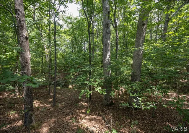 28th image of Tract 1 Sweetgum Ln, Millersville, MO 63766 | MLS# MIS26054081