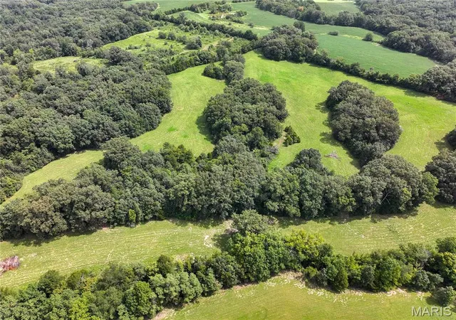 5th image of Tract 1 Sweetgum Ln, Millersville, MO 63766 | MLS# MIS26054081
