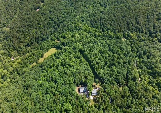 1st image of 10564 Timberland Dr, Richwoods, MO 63080 | MLS# MIS26054100