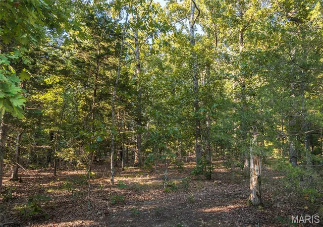 Photo 3 of Single family home for sale at 16501 State Route K, Edgar Springs, MO 65462 | MLS# MIS26054120 | Listing updated on 2026-08-30