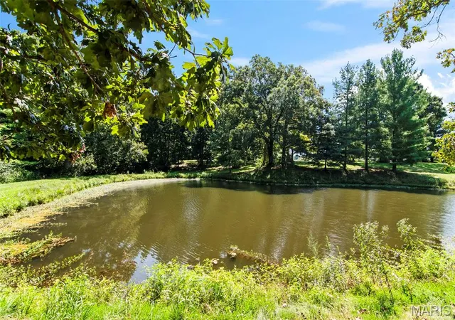 5th image of 10292 Old Litchfield Trl, Litchfield, IL 62056 | MLS# MIS26054180