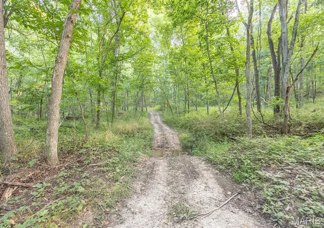 Photo 3 of Land for sale at 54893 Kingsville Ln, New London, MO 63459 | MLS# MIS26054193 | Listing updated on 2026-08-21