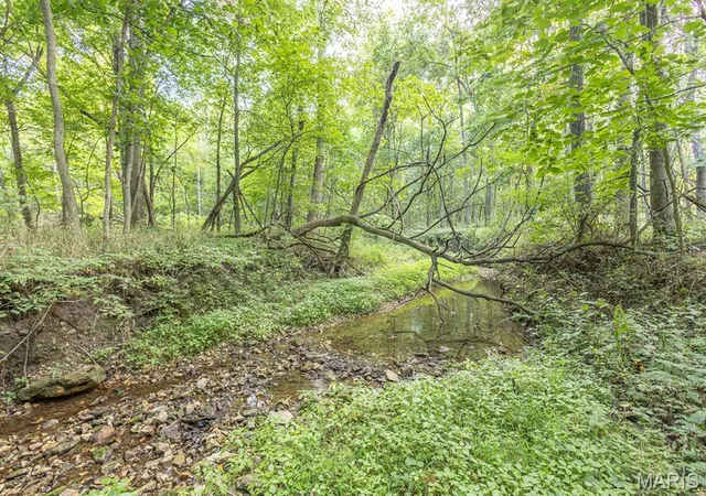 Photo 4 of Land for sale at 54893 Kingsville Ln, New London, MO 63459 | MLS# MIS26054193 | Listing updated on 2026-08-21