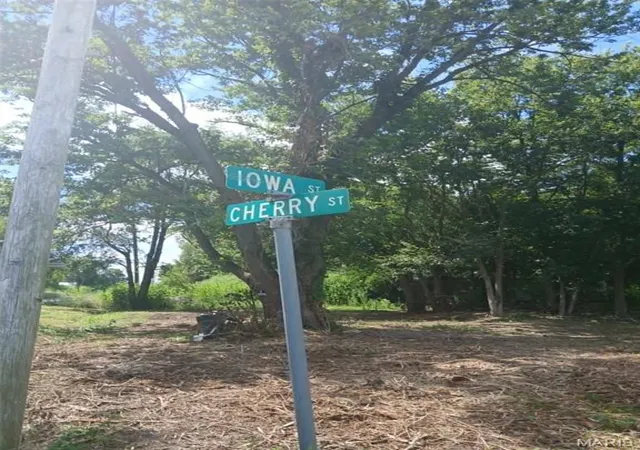 Photo 1 of Land for sale at 502 Cherry St, Fidelity, IL 62030 | MLS# MIS26054196 | Listing updated on 2026-08-21