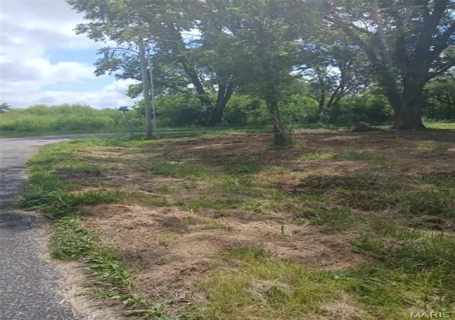 Photo 2 of Land for sale at 502 Cherry St, Fidelity, IL 62030 | MLS# MIS26054196 | Listing updated on 2026-08-21