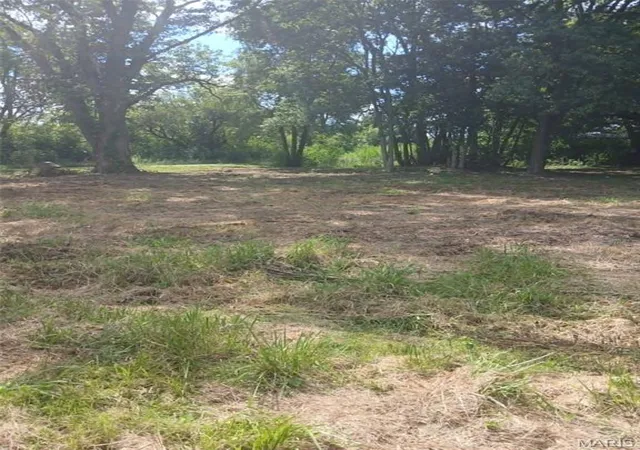 Photo 2 of Land for sale at 502 Cherry St, Fidelity, IL 62030 | MLS# MIS26054196 | Listing updated on 2026-08-21