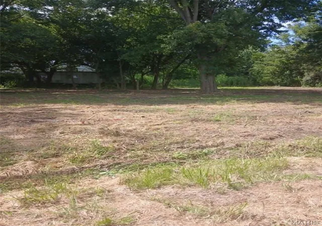 Photo 3 of Land for sale at 502 Cherry St, Fidelity, IL 62030 | MLS# MIS26054196 | Listing updated on 2026-08-21