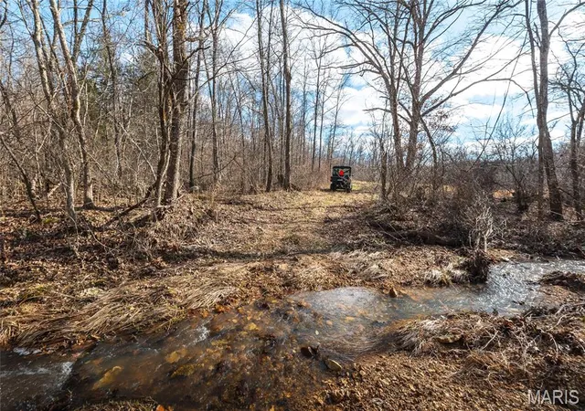 74th image of 150 Keysville Rd, Steelville, MO 65565 | MLS# MIS26054247