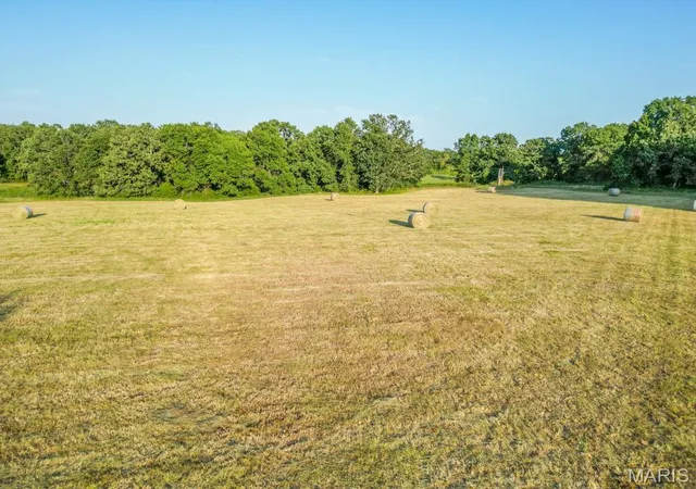 52nd image of 27230 Pelican Dr, Lebanon, MO 65536 | MLS# MIS26054258