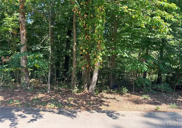 Photo 1 of Land for sale at 685 Radcliff Ln, Poplar Bluff, MO 63901 | MLS# MIS26054270 | Listing updated on 2026-09-23