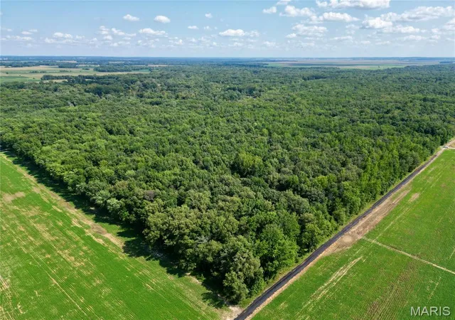 Photo 1 of Sale Pending at 00 County Road 2600 East, Fairfield, IL 62837 | MLS# MIS26054279 | Listing updated on 2026-09-01