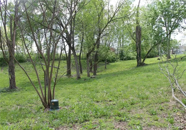 4th image of 0 Virginia Street Lot 13, St Clair, MO 63077 | MLS# MIS26054312